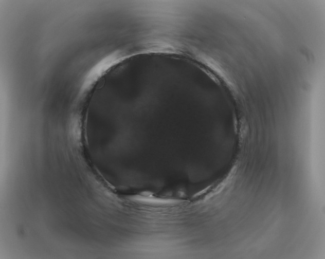 X0000114161455200910221558