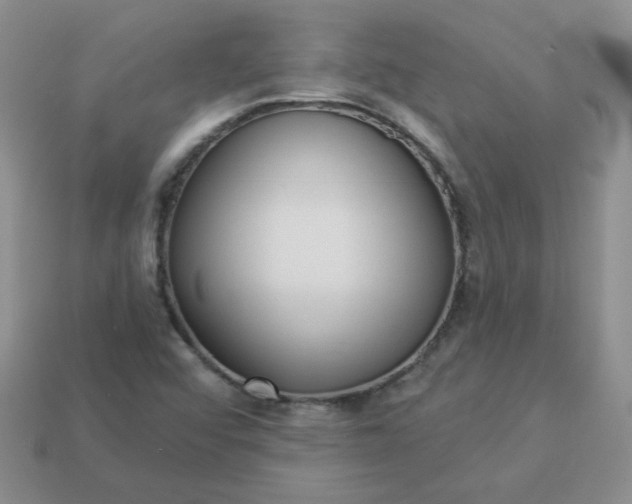 X0000114161456200910221558