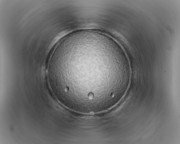 X0000114161457200910221558