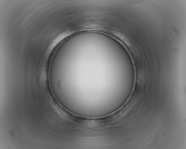 X0000114161458200910221558