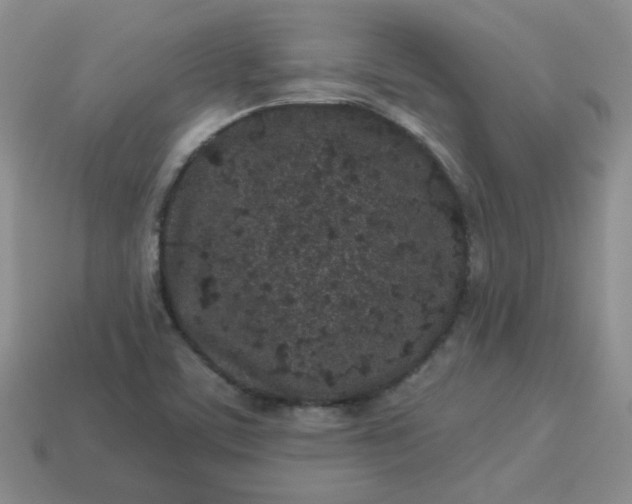 X0000114161459200910221558