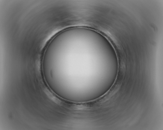 X0000114161460200910221558