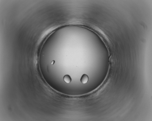 X0000114161461200910221558