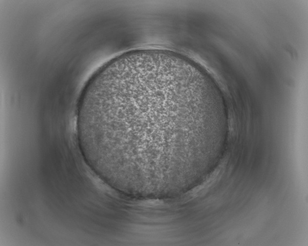 X0000114161462200910221557