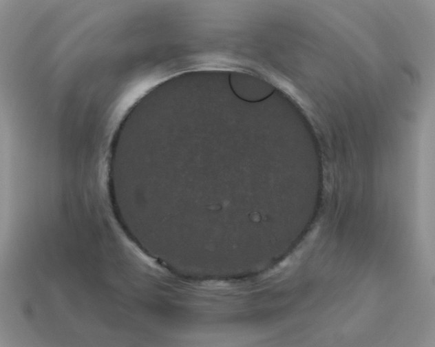 X0000114161463200910221557