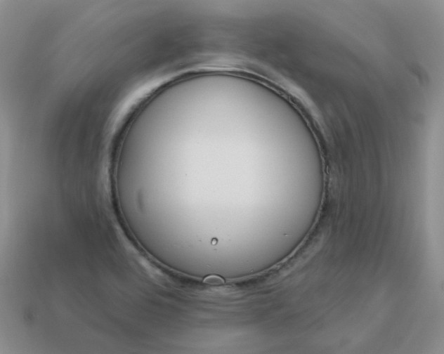 X0000114161464200910221557