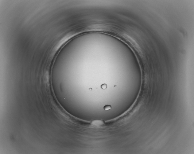 X0000114161465200910221557