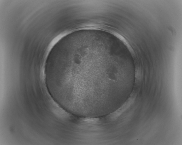 X0000114161466200910221557