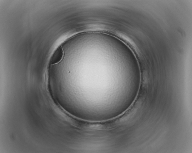 X0000114161467200910221557