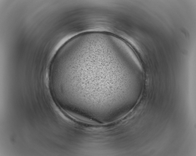 X0000114161468200910221557