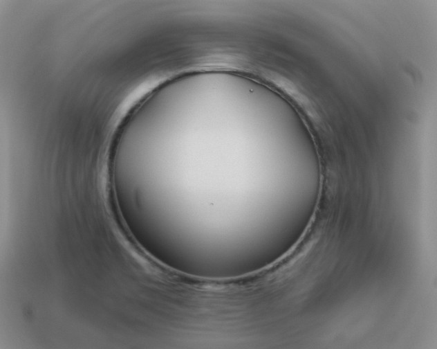 X0000114161469200910221557