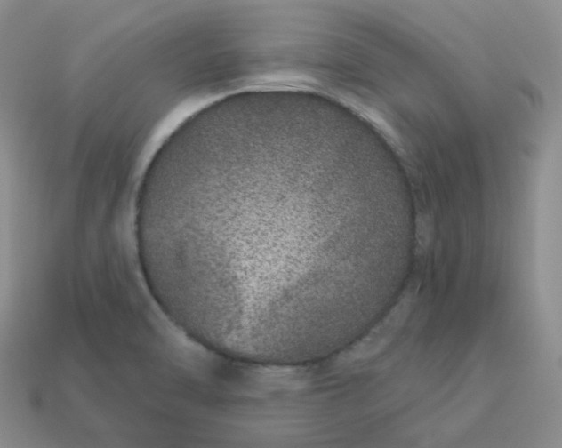 X0000114161470200910221557