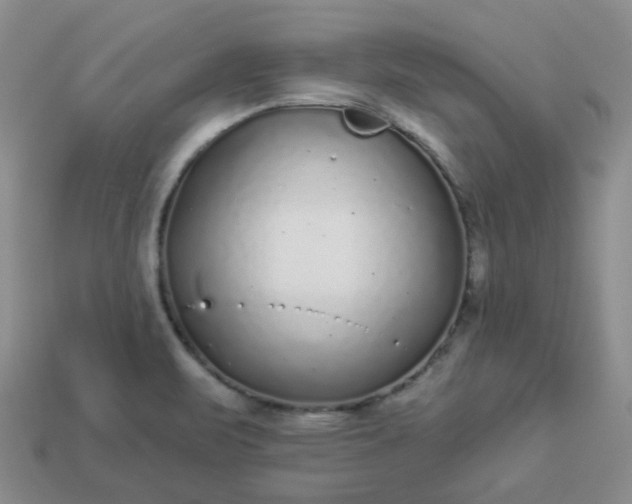 X0000114161471200910221557