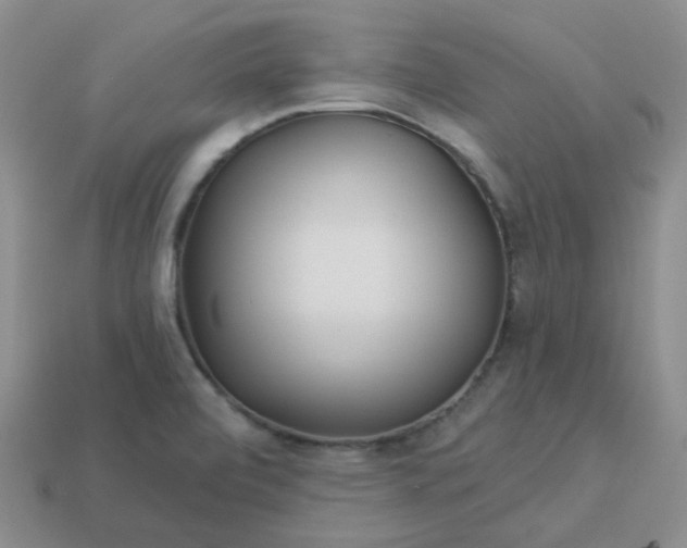 X0000114161472200910221557