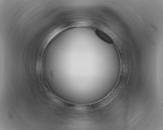 X0000114161473200910221557