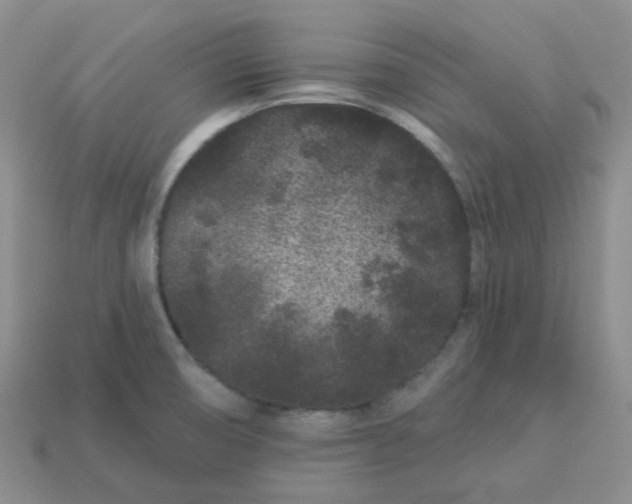 X0000114161474200910221557