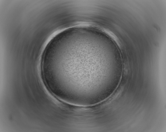 X0000114161475200910221557