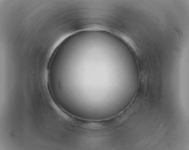 X0000114161476200910221557