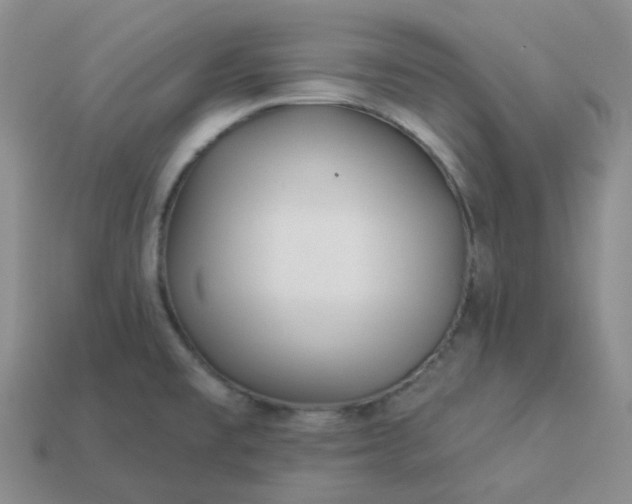 X0000114161477200910221557