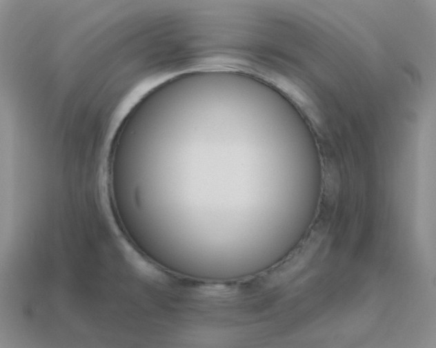 X0000114161478200910221557