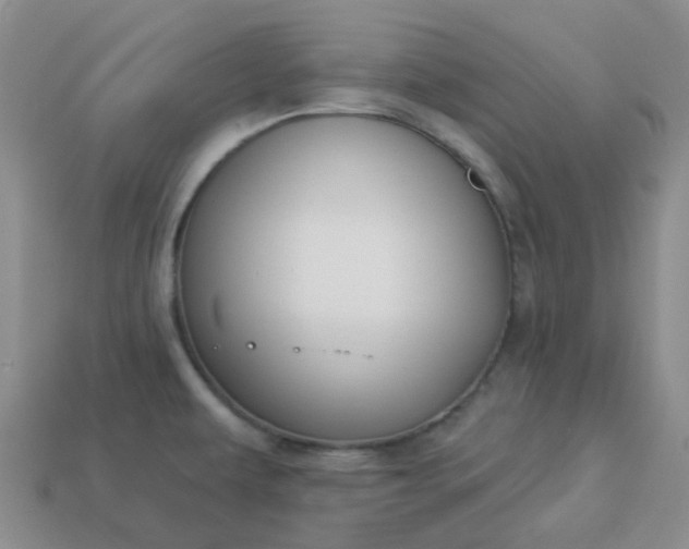 X0000114161479200910221557