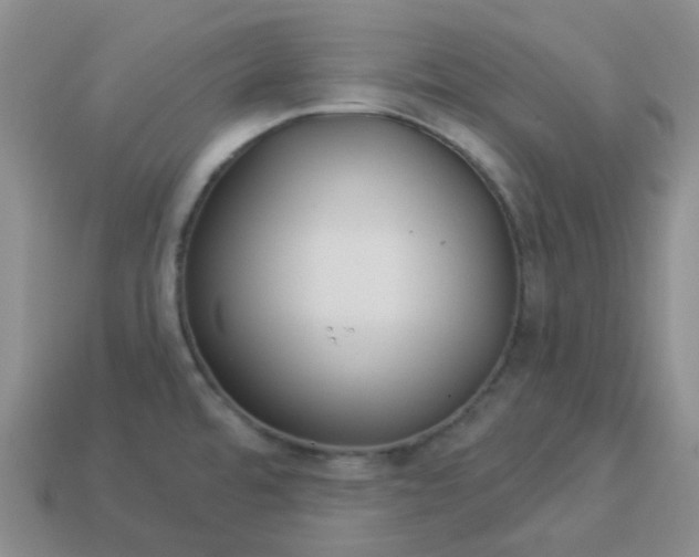 X0000114161480200910221557