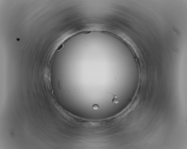 X0000114161481200910221557