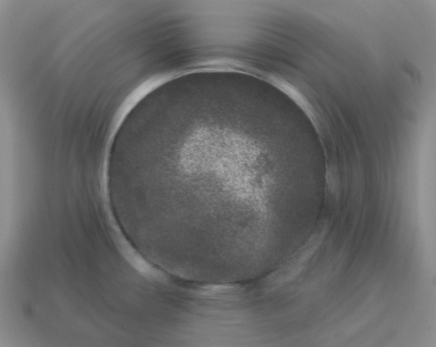 X0000114161482200910221557