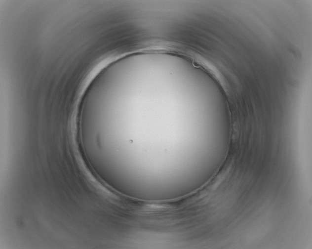 X0000114161483200910221557