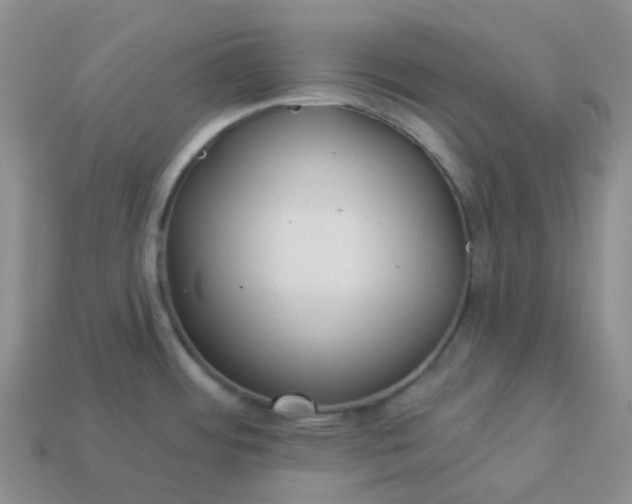 X0000114161484200910221557