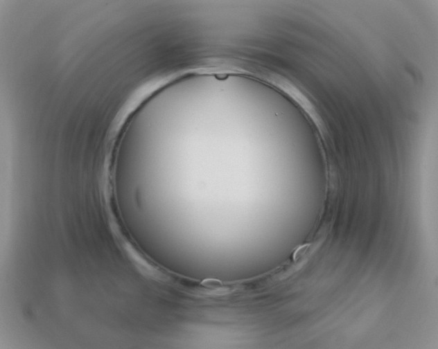 X0000114161485200910221557