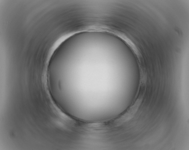 X0000114161486200910221557