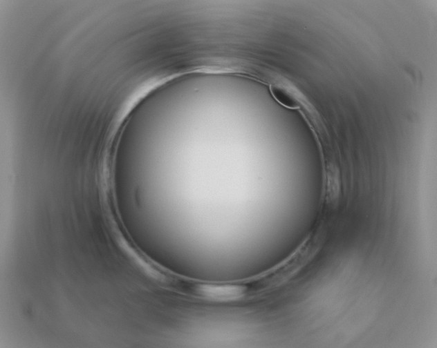 X0000114161487200910221557