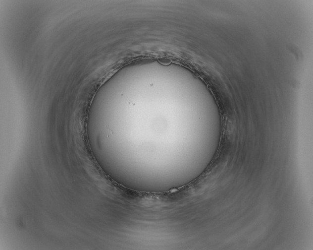 X0000114161489200910221557