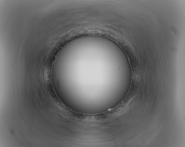 X0000114161490200910221557