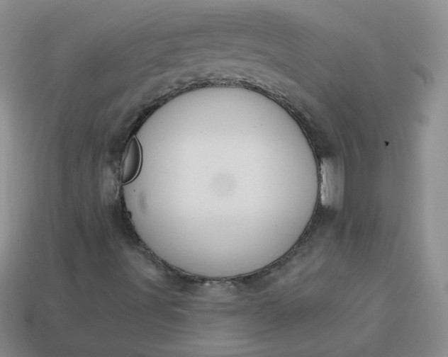 X0000114161491200910221557