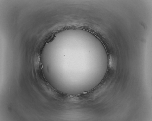 X0000114161492200910221557