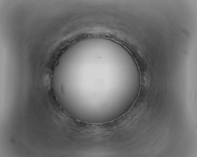 X0000114161493200910221557