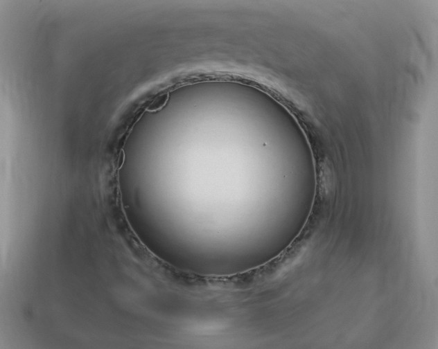 X0000114161494200910221557