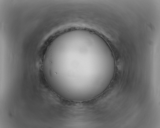 X0000114161495200910221557