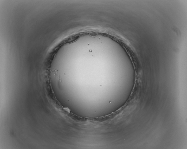 X0000114161496200910221557