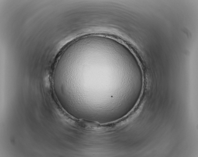 X0000114161497200910221557