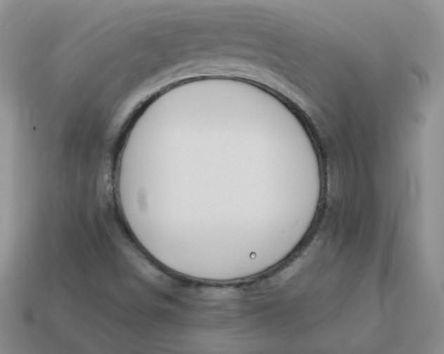 X0000114161498200910221557