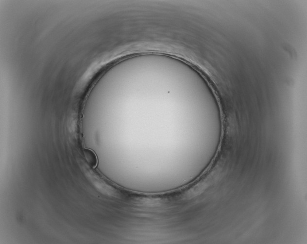 X0000114161499200910221557