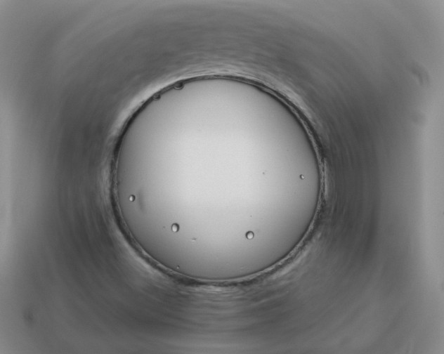 X0000114161500200910221557