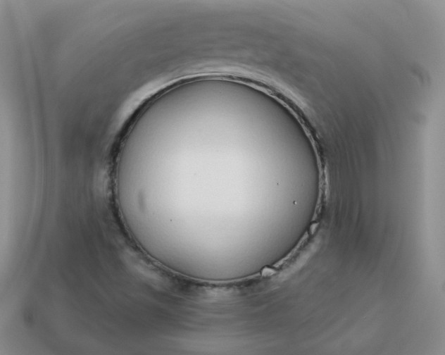 X0000114161501200910221557