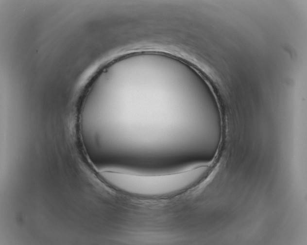 X0000114161502200910221557