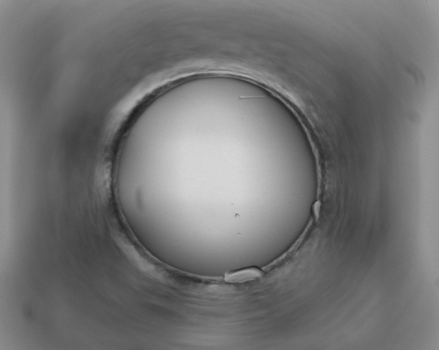 X0000114161503200910221557