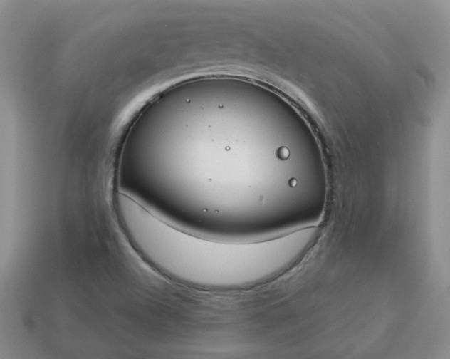 X0000114161504200910221557