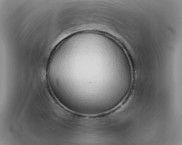 X0000114161505200910221557